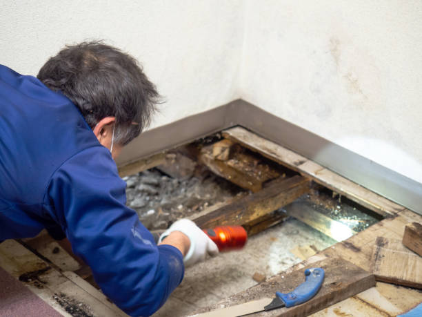Best Water Damage Restoration  in Woodbury, NJ