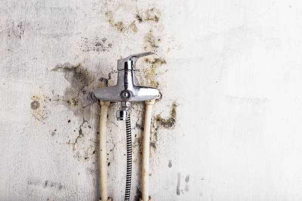 Best Emergency Mold Removal  in Woodbury, NJ