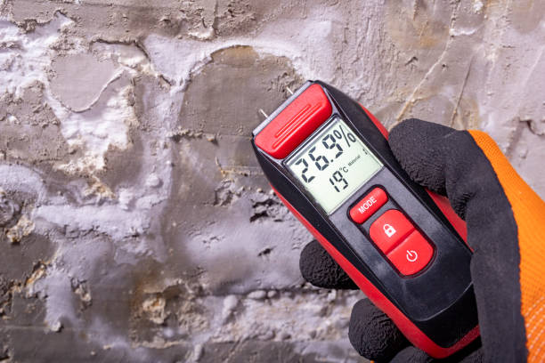 Best Professional Mold Removal  in Woodbury, NJ