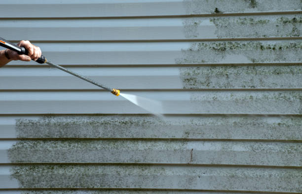 Mold Removal Process in Woodbury, NJ