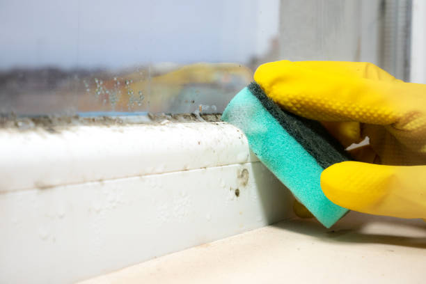 Mold Testing and Removal in Woodbury, NJ