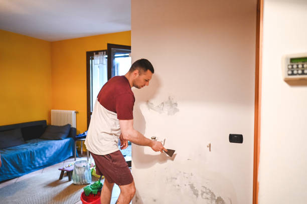 Trusted Woodbury, NJ Mold Removal Experts