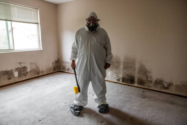 Best Certified Mold Removal  in Woodbury, NJ