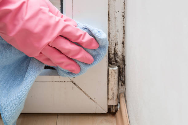 Water Damage Restoration in Woodbury, NJ